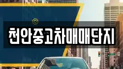 천안중고차매매단지