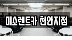미소렌트카 천안지점