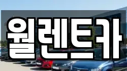 월렌트카