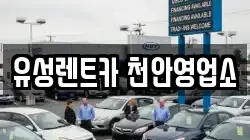 유성렌트카 천안영업소