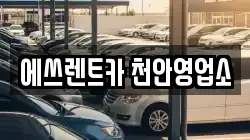 에쓰렌트카 천안영업소