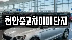 천안중고차매매단지