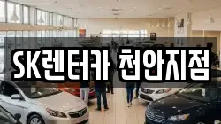 충남 천안시 서북구 성정동 렌트카,단기렌트카,장기렌트카,중고차,중고차매매,중고차매입
