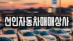 선인자동차매매상사