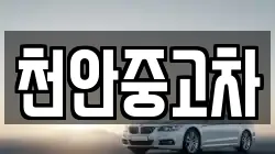 천안중고차