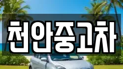 천안중고차