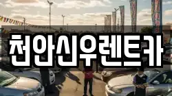 충남 천안시 서북구 업성동 렌트카,단기렌트카,장기렌트카,중고차,중고차매매,중고차매입