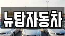 뉴탑자동차