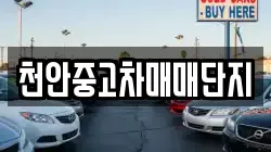 천안중고차매매단지