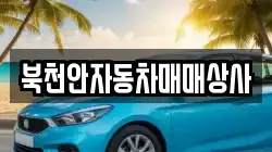 북천안자동차매매상사