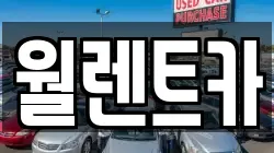 월렌트카