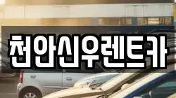 천안신우렌트카