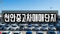 천안중고차매매단지