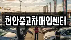 천안중고차매입센터