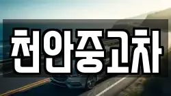천안중고차