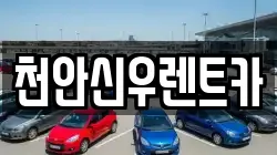 천안신우렌트카