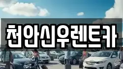 천안신우렌트카
