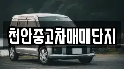 천안중고차매매단지