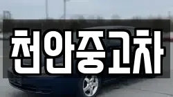 천안중고차