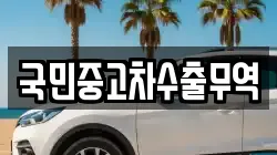 국민중고차수출무역