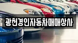 충남 홍성군 광천읍 렌트카,단기렌트카,장기렌트카,중고차,중고차매매,중고차매입