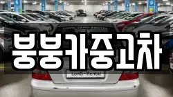 붕붕카중고차