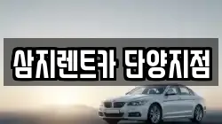 삼지렌트카 단양지점