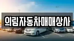 의림자동차매매상사