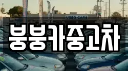붕붕카중고차