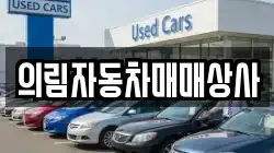 의림자동차매매상사