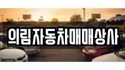 의림자동차매매상사