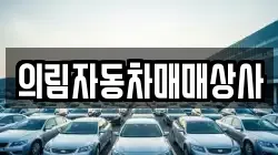 의림자동차매매상사