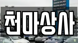 천마상사