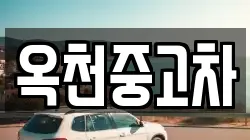 옥천중고차