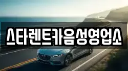 스타렌트카음성영업소