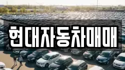 현대자동차매매