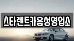 스타렌트카음성영업소