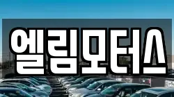 엘림모터스