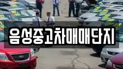음성중고차매매단지