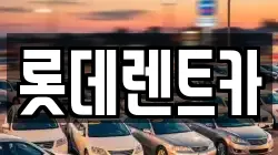 충북 제천시 강제동 렌트카,단기렌트카,장기렌트카,중고차,중고차매매,중고차매입