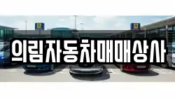 의림자동차매매상사