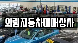 의림자동차매매상사
