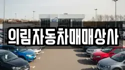의림자동차매매상사