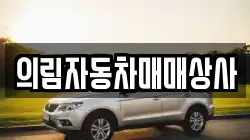 의림자동차매매상사