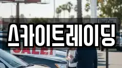 스카이트레이딩