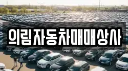 의림자동차매매상사