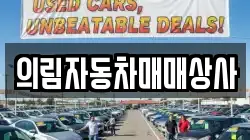 의림자동차매매상사