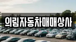 의림자동차매매상사