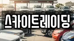 스카이트레이딩