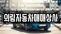 의림자동차매매상사